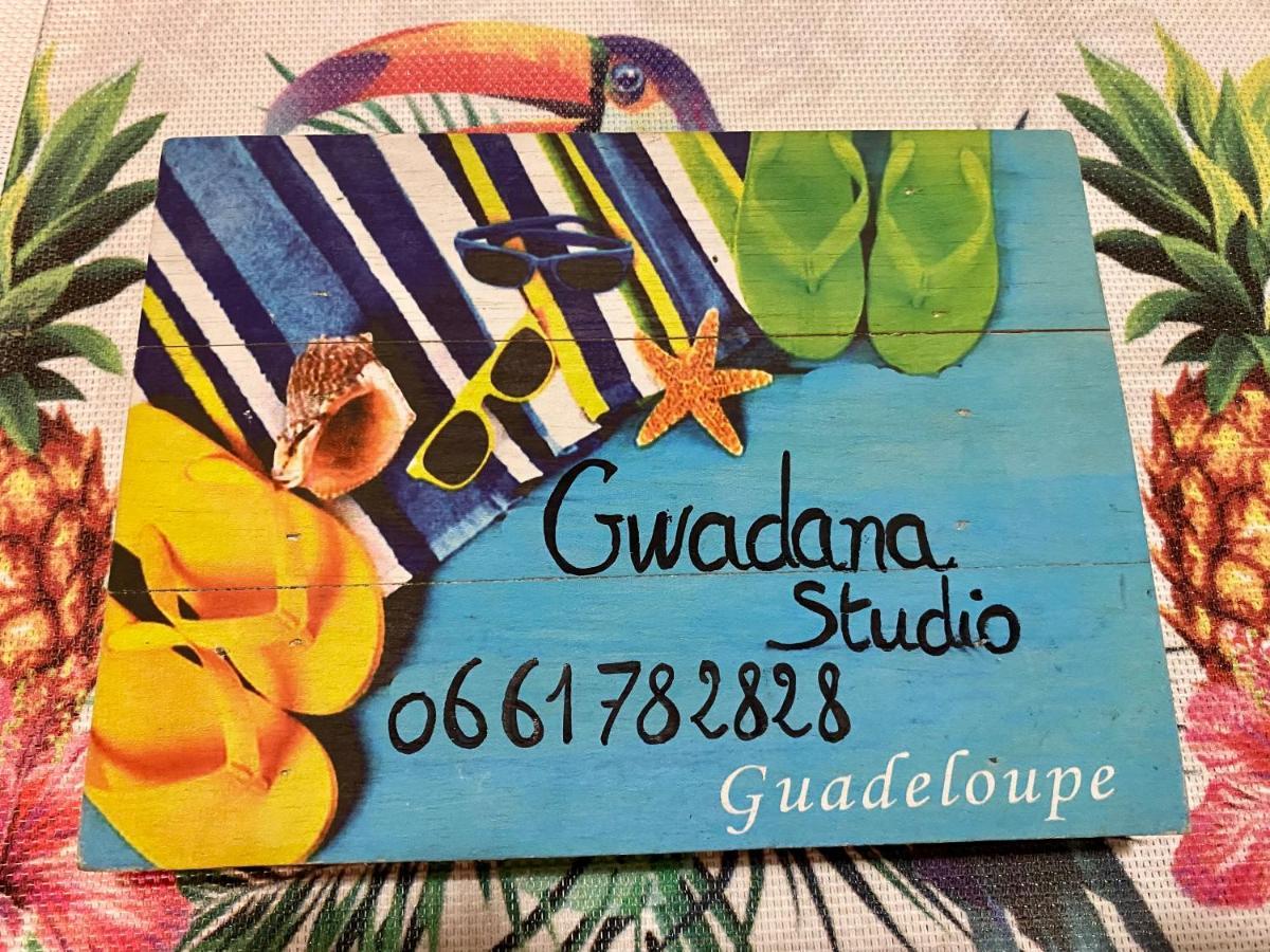 Vue Exclusive Mer Et Volcan, Village Vacances Avec Plage Et Piscine, Les Gwadastudios Sainte-Anne  Exteriér fotografie