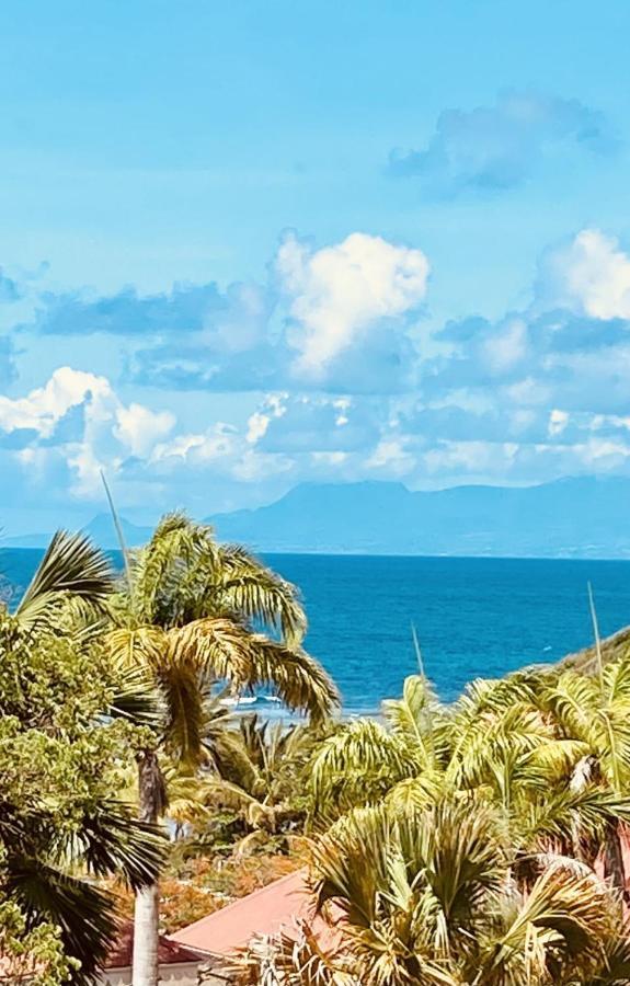 Vue Exclusive Mer Et Volcan, Village Vacances Avec Plage Et Piscine, Les Gwadastudios Sainte-Anne  Exteriér fotografie