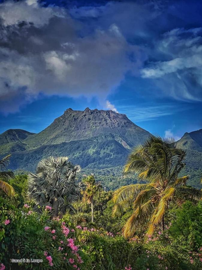 Vue Exclusive Mer Et Volcan, Village Vacances Avec Plage Et Piscine, Les Gwadastudios Sainte-Anne  Exteriér fotografie