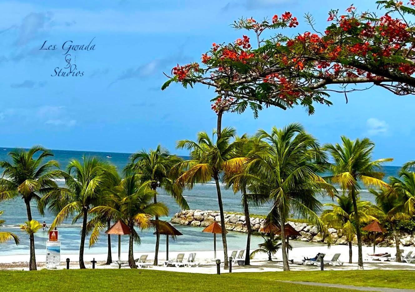 Vue Exclusive Mer Et Volcan, Village Vacances Avec Plage Et Piscine, Les Gwadastudios Sainte-Anne  Exteriér fotografie