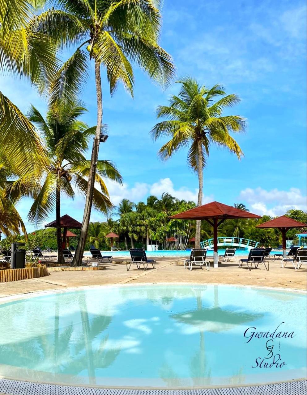 Vue Exclusive Mer Et Volcan, Village Vacances Avec Plage Et Piscine, Les Gwadastudios Sainte-Anne  Exteriér fotografie